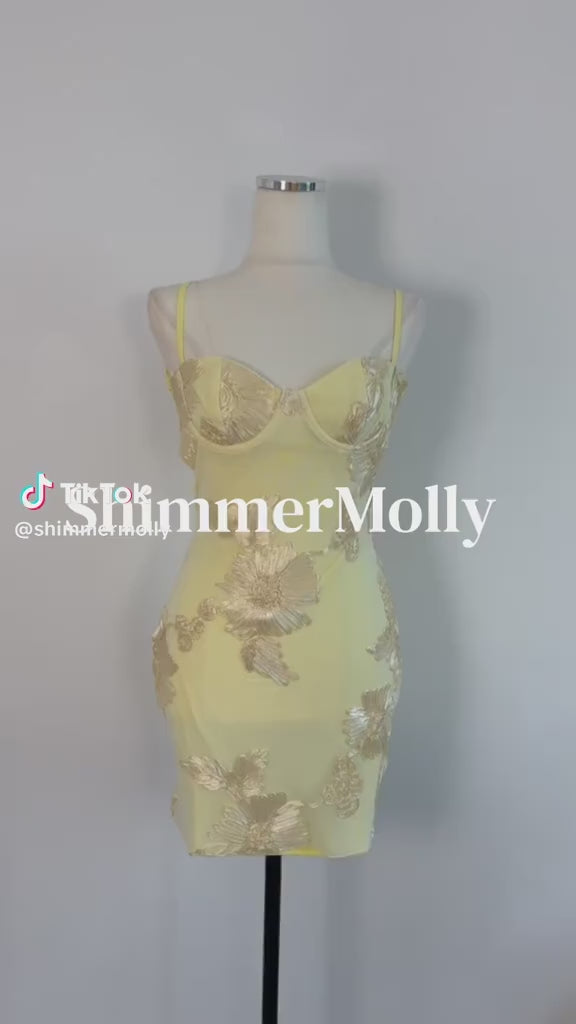 Cream Floral Corset Tie Mini Dress