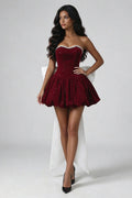 Burgundy Velvet Bow Mini Dress